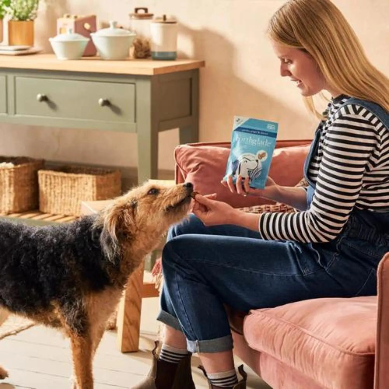 Forthglade Functional Soft Bite Treats - Digestive Health 90g